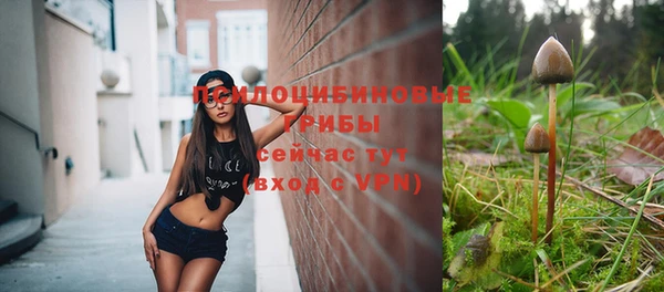 spice Вязники