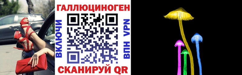 Псилоцибиновые грибы Psilocybine cubensis  Сыктывкар 